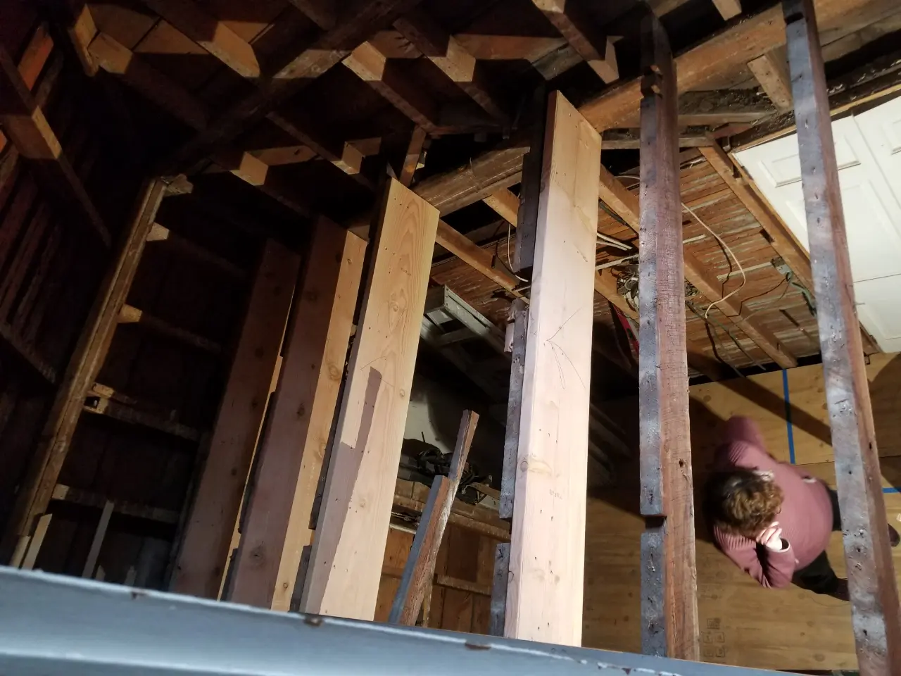 Damage photo at New coops